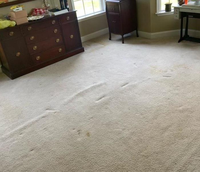carpet pre carpet cleaning services