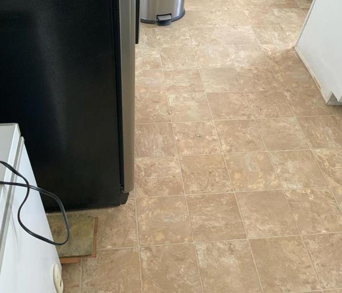 Affected flooring from a refrigerator leak